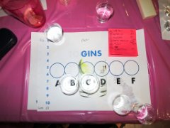 20160902 GinTasting-034